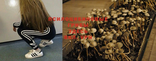 МДМА Беломорск