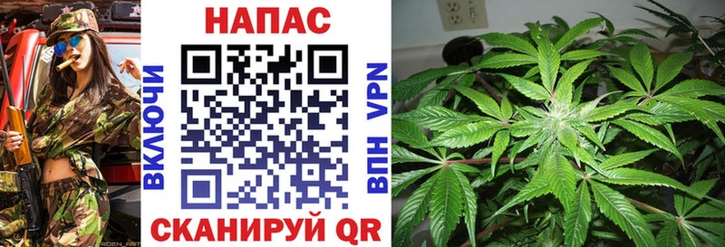 Каннабис Amnesia  Купить  Новая Ляля 